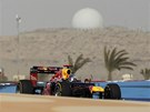 VÍTZ. Závod v Bahrajnu ovládl Sebastian Vettel ze stáje Red Bull.