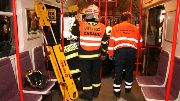 Vyproovat lovka, který spadl po metro, není ádná legrace.