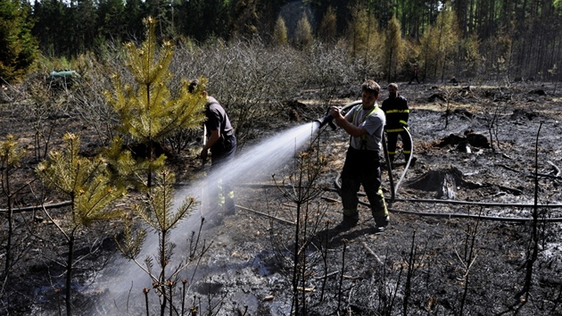 Poár lesa u Vilémova (29. dubna 2012)