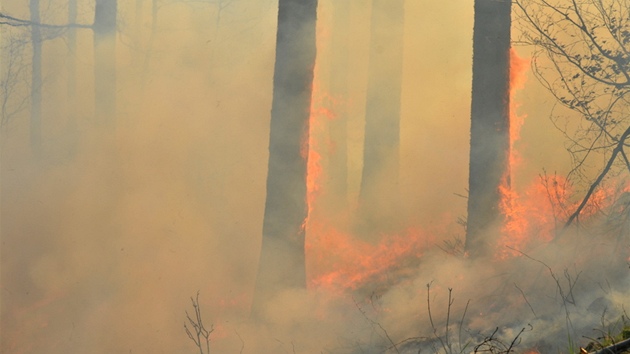 Zásah hasi pi poáru lesa u Starých Hamr v Beskydech.