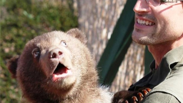 Potomci medvdice Kamatky z brnnské zoo jsou kluci: mlád na snímku se me