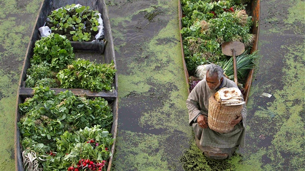Plovoucí trh v Ka�míru. Obchodník se zeleninou v Srinagaru b�hem prodeje i...