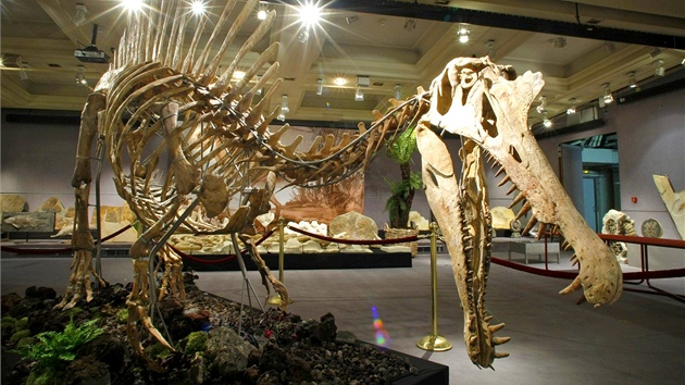 Kostra Spinosaura