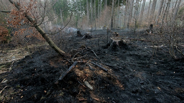 Ohe poniil asi est hektar lesa. Nebt hasi, plameny by pohltily mnohem vt plochu. (28. dubna 2012)