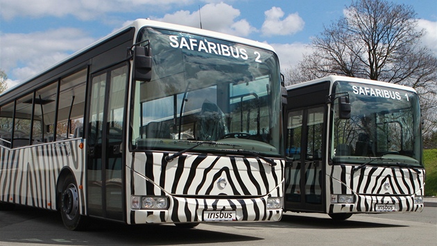 Zájemce o hromadnou cestu skrz safari ve Dvoře Králové nad Labem čeká v letošní...