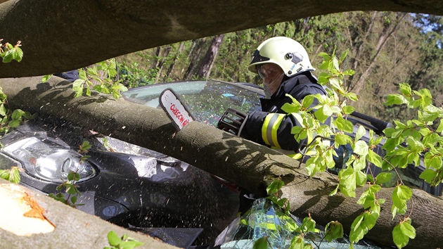 Strom zdemoloval auta na parkoviti v osad Peklo u Novho Msta nad Metuj na Nchodsku. (29. dubna 2012)