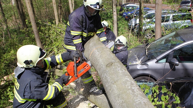 Strom zdemoloval auta na parkoviti v osad Peklo u Novho Msta nad Metuj na Nchodsku. (29. dubna 2012)