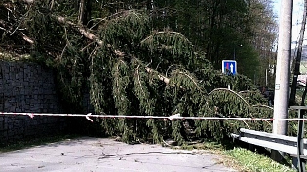 Hasii odstraovali spadané stromy v Olomouckém kraji od sobotního rána. (29....
