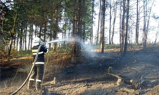 Hasii likvidovali lesní poár v Odrách-Dobeov na Novojiínsku.