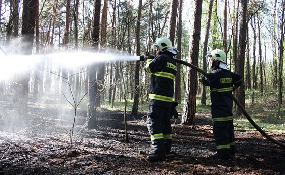 U Kytína na Příbramsku zasahují hasiči u požáru lesa (ilustrační snímek)