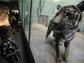 V pražské zoologické zahradě se zítra otevře pavilon šelem. Návštěvníkům nabízí