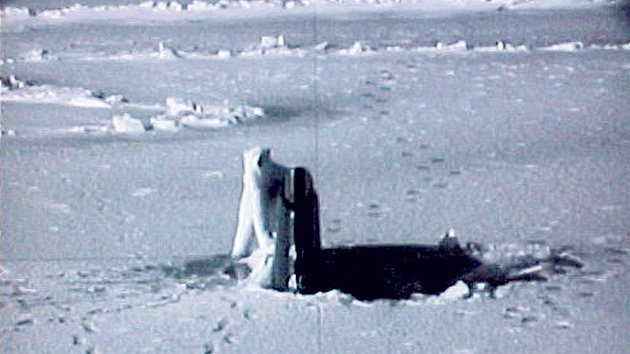 TENHLE TU BITVU NEVYHRAJE. Lední medvěd, tvor nejohroženější oteplováním, na snímku z ponorky