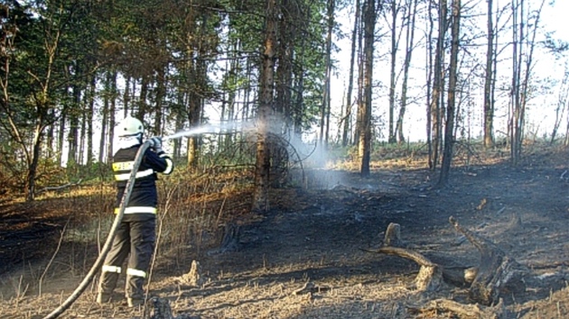 Hasi�i likvidovali lesní po�ár v Odrách-Dobe�ov� na Novoji�ínsku.