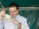 Degustaní porce jídel pipravili pro chestový festival studenti stedoeských...