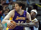 Al Harrington z Denveru atakuje Paua Gasola z LA Lakers.