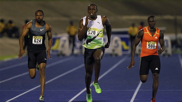Usain Bolt (uprosted) si v Kingstonu b pro vtzstv na stometrov trati.