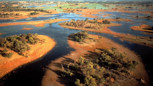 Delta eky Okavango 