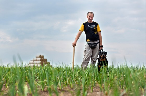 Farmá Pavel Re pstuje eský esnek. V dob sklizn chodí po poli s