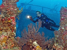 Pesn ped deseti lety se u beh floridského ostrova Key Large zaala potápt...