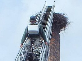Záchranáři museli za pomoci hasičů sundat vejce z čapího hnízda v Příchovicích.