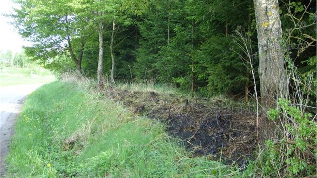 Pachatel ve čtvrtek (10. května 2012) nejprve na dvou místech podpálil zapalovačem suchou trávu.