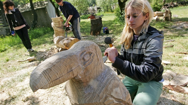 Studenti grafické školy čarují se dřevem v prostorách jihlavské zoo. Denisa Scheuterová a její tukan.