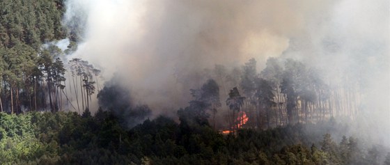 Plameny minulý čtvrtek zachvátily 20 hektarů borového lesa na Hodinínsku.