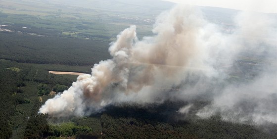 Lesní poár mezi Bzencem, Stránicí a Ratíkovicemi na Hodonínsku