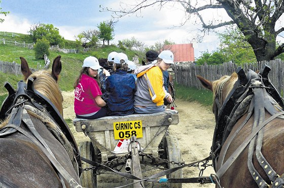 Povozy tažené koňmi jsou v Banátu jediným dopravním prostředkem.