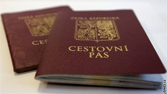 ena se policistm pi kontrole prokázala ukrajinským cestovním pasem vystaveným na zmnné jméno. Policista ji vak poznal. (Ilustraní snímek)