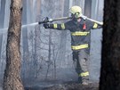 Lesní požár u Bzence na Hodonínsku. Plameny zasáhly až 200 hektarů borovic. 