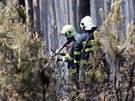 Lesní poár u Bzence na Hodonínsku. Plameny zasáhly a 200 hektar borovic. 