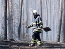 Lesní poár u Bzence na Hodonínsku. Plameny zasáhly a 200 hektar borovic. 