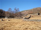 Dm leí v provincii Cáceres ve panlské Extremadue. Pvodní podoba domu