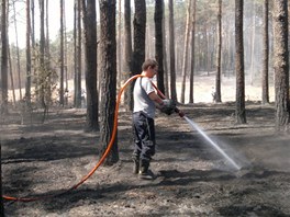 Hasiči z hradeckého kraje pomáhali hasit rozsáhlý požár v Bzenci na Hodonínsku. 
