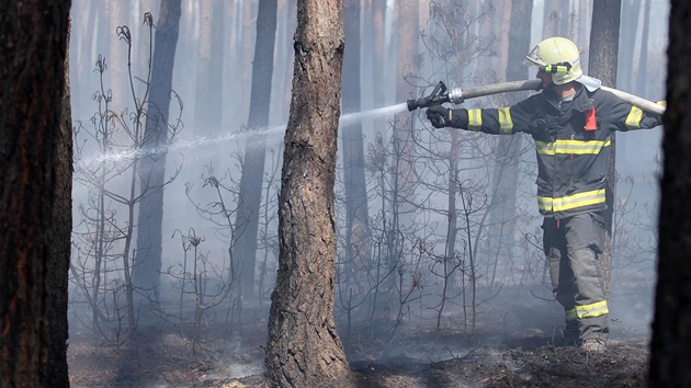 Lesní poár u Bzence na Hodonínsku. Plameny zasáhly a 200 hektar borovic. 