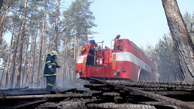 Lesn por u Bzence na Hodonnsku. Plameny zashly a 200 hektar borovic. 