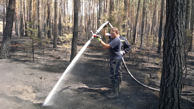 Plameny minulý čtvrtek zachvátily 20 hektarů borového lesa na Hodinínsku.