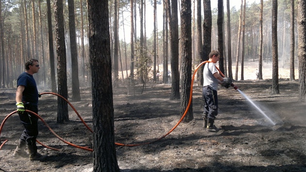 Hasii z hradeckého kraje pomáhali hasit rozsáhlý poár v Bzenci na Hodonínsku. 