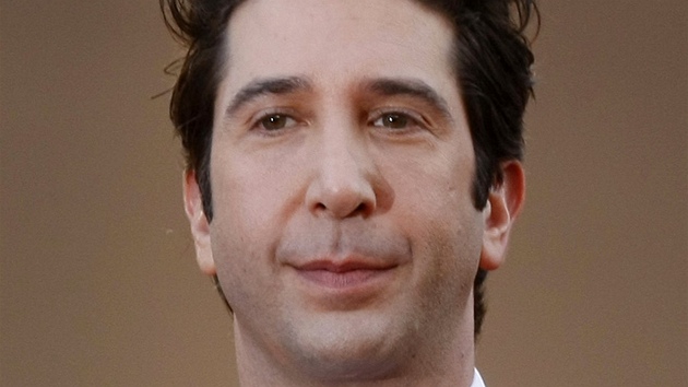 David Schwimmer (Cannes 2012)