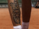 TETOVÁNÍ. Na grandslamovém Roland Garros vypadl eský tenista Luká Rosol u ve...