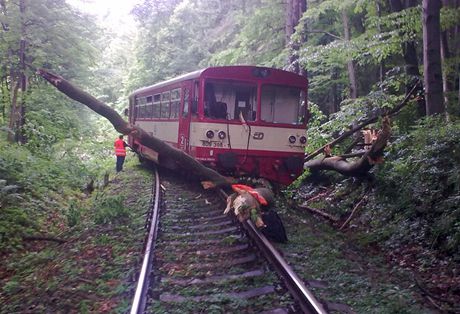 Tra mezi Miloticemi nad Opavou a Bruntálem zablokovala sráka vlaku se stromem