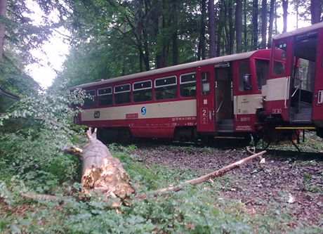 Tra mezi Miloticemi nad Opavou a Bruntlem zablokovala srka vlaku se stromem
