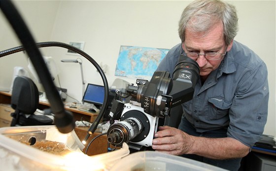 Kameraman Alastair McEwan z National Geographic natáí pavouka pi lovu. 