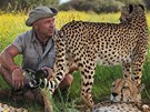 Dostaveníko s gepardy v Namibii