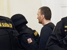 Policisté odvádjí Tomáe Pitra od praského mstského soudu (4. ervna 2012).