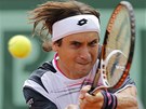 NELO TO. David Ferrer nestail v semifinále Roland Garros na Rafaela Nadala.
