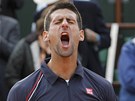 HURÁ! Novak Djokovi slaví postup do finále Roland Garros.