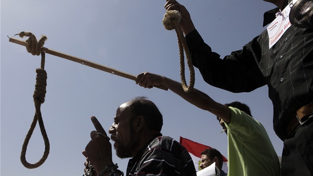 Egypan se po odsouzen Husnho Mubaraka k doivotnmu vzen doaduj trestu smrti pro bvalho vldce. (2. ervna 2012)