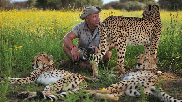 Dostavenko s gepardy v Namibii
